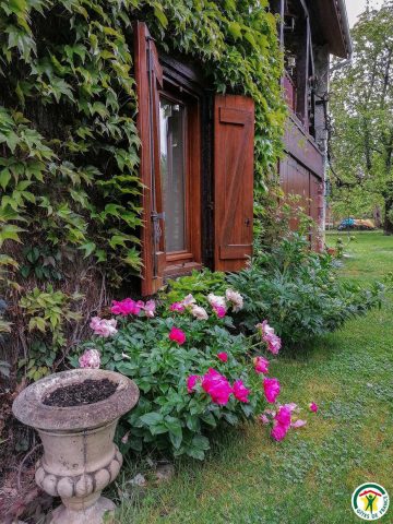 31G100509-e28a78807cec466e8bcc7b9047c92e3f