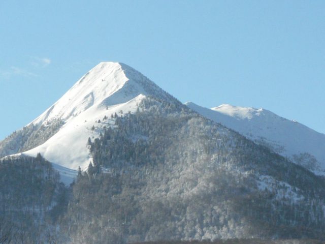 31G100509-f651cc19a52a4d9fa730ac035eff732b