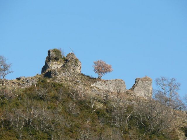 31G100509-f6e14cd341b54ee18a082f4bbd7abc36