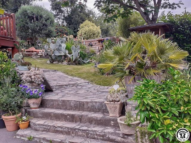 31G100544-e7ec28725ad24a64ba35621f5a6fed6e