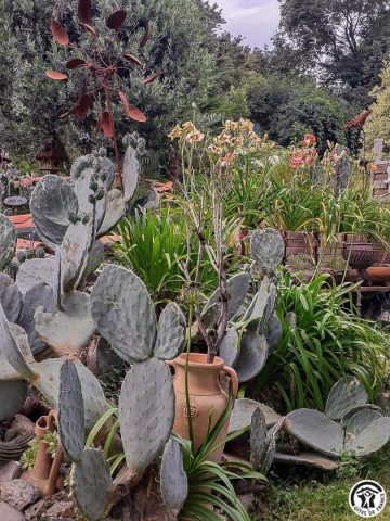 31G100544-f792218f51794155b4c9314f16e31384