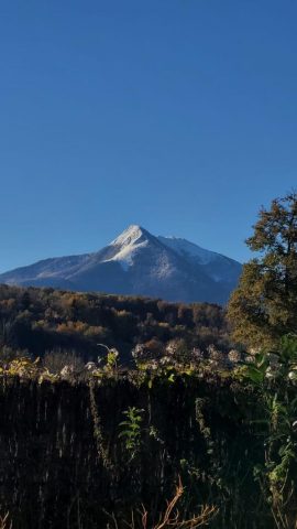 31G100587-83feac56dd074da1b2a764c92e61140f