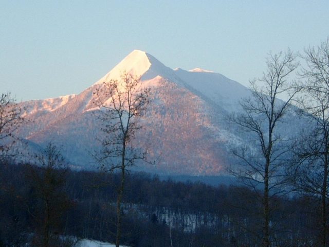 31G100587-aed8c4efb4854d0aaef0eb615f2892d8