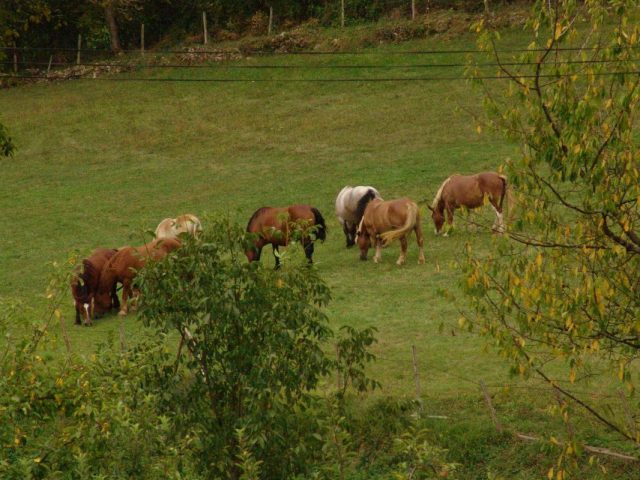 31G100588-24a2f45e450945e2bdbb64ba87695a98