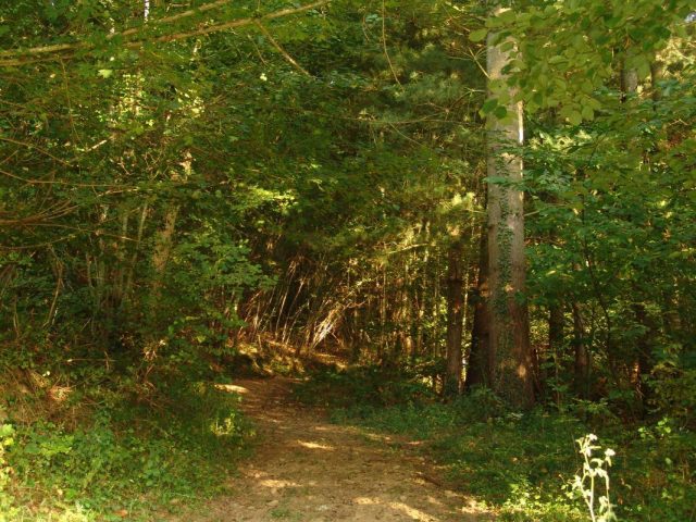 31G100588-d97c5a7665e14ed499e8a8ed9b17f311