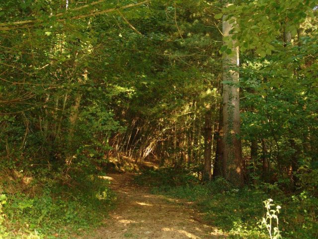 31G100588-e0e5adae198a4e339875bbaab1104a26