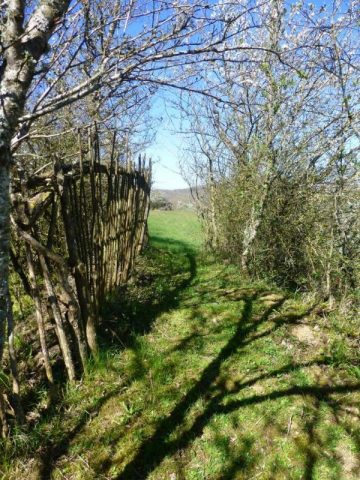 31G100621-3eed650f875b4a6c9c25f0e1d779e770