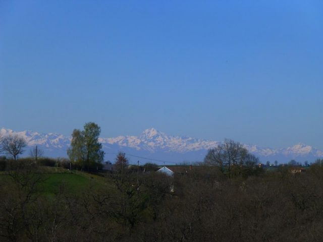 31G100621-d15fb95eeb1149969482ebf399b51ad2