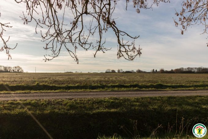 31G100642-e63ad884cdf9487ead9e7e9621692aff