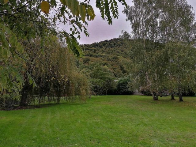 31G100655-740d6b12a57b4221bee31d87792ae3dc