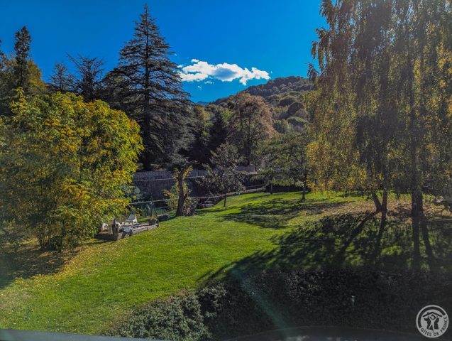 31G100655-c7454f8430254a85bad4c24dc21c8a2d