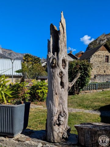 31G100655-d07cee779f314f53a02a71a4daf0caf6