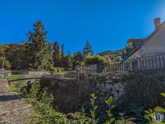 31G100655-e7b8af4939144456a4be300f907ce53e