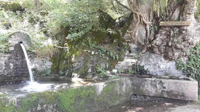 31G100656-6ab42415a9f54b8aa28c02ebc8b24dea