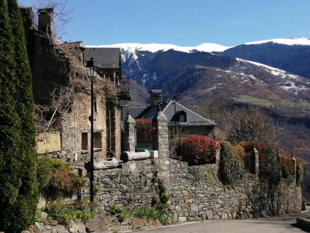 31G100666-6495aa3ae37845149e1a61a2edca1415