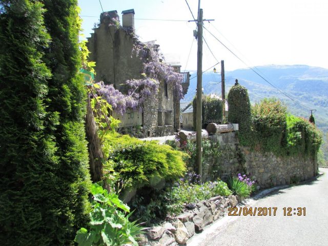 31G100666-cb340ad344434633901756f9fc5fca32