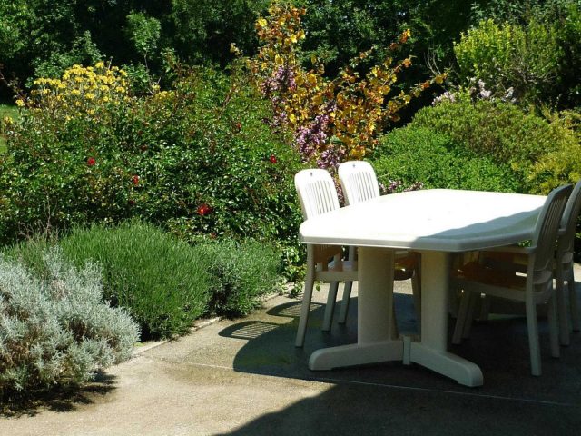 31G100732-45f778deead343838e54e956d385596d