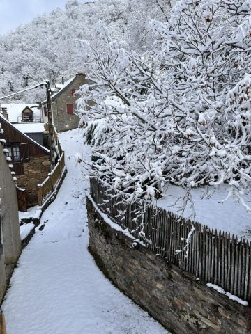 31G100772-6fdac4bfe4d340b9baf14c31e88cd8e5