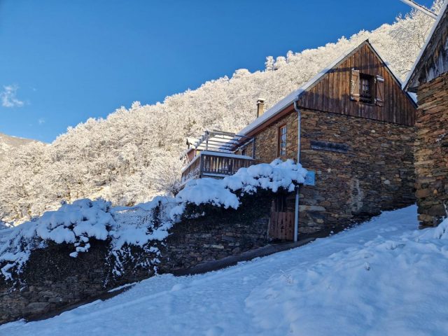 31G100772-a1fc9be05e28494fb26f9c8f6526f23b