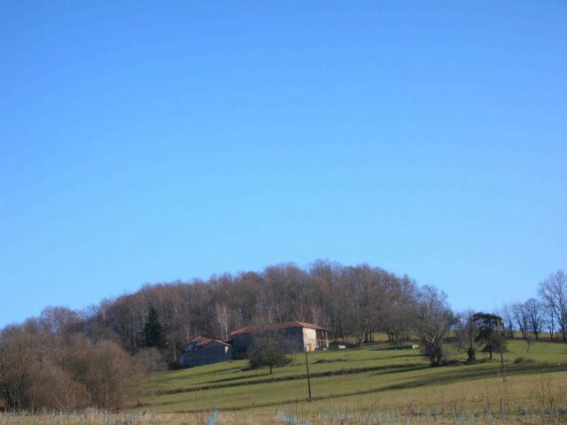 31G100773-3bb9924e8a8c42caaab31750b350acf5