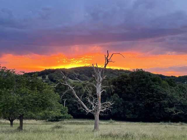 31G100773-7292e3aa99574f8290c729beaed4b443