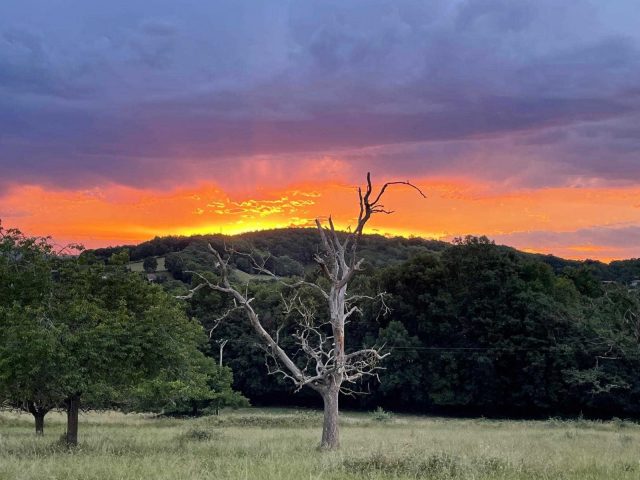 31G100773-bc22cff7767f425ba9b996608b88f383