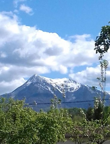 31G100895-9e8e9d27c7b84d26b8f974dc2693617d