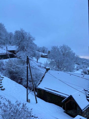 31G100906-92c4b2b25b4346b18af385146f9ca6b4