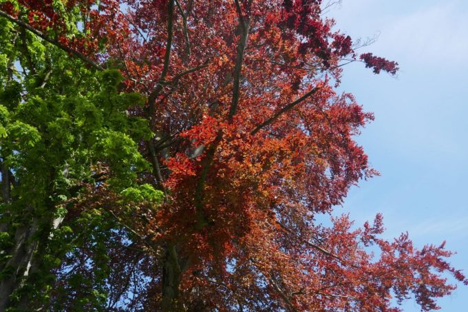 31G100934-107a0712645a46fb8f2309c5b671312a