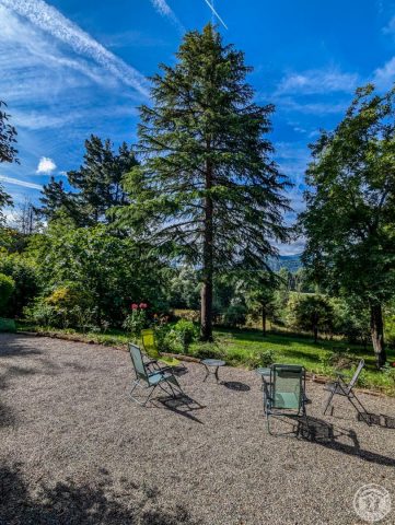 31G100934-24eac5101c39433d8a5cc1094fbede73