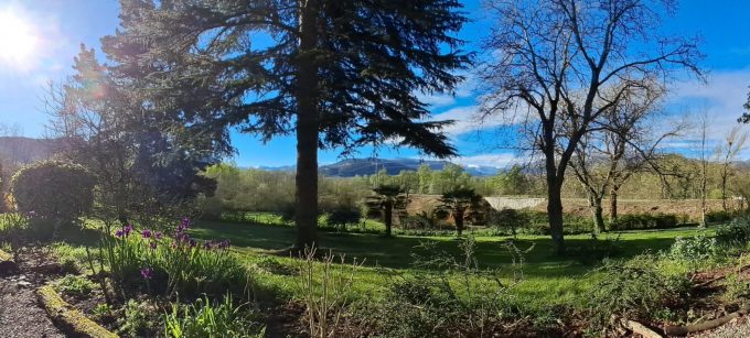 31G100934-78d45916ef014923841c0ab1ecda5a69