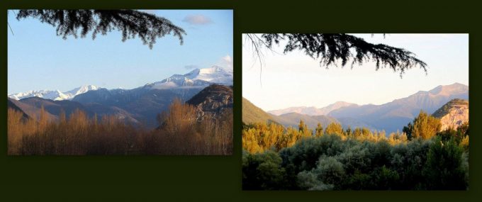 31G100934-8a95f24c0d004c6b83ea004438afdbbd