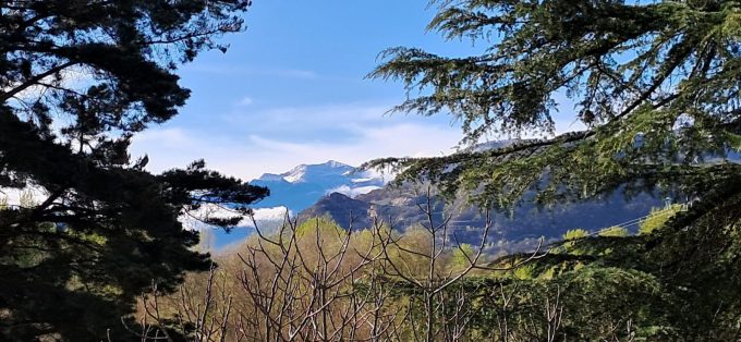 31G100934-d027039597e447c3b4de1198e8da3b51