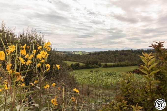 31G100978-581d6f8d41344bcbb9d3fd8f73eade8a