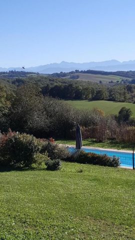 31G100978-6b109fa1f6fd4cfe8ce3a2cd380a1387