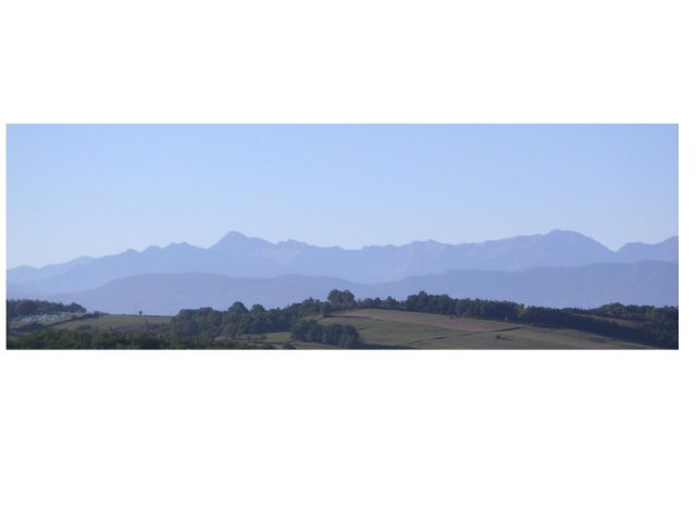 31G100978-7ffa762549ab473c9bf3c21573f9bb68