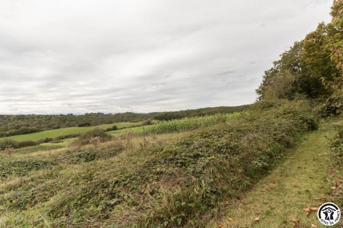 31G100978-88646ff9e1204b929c9d5032388e8991