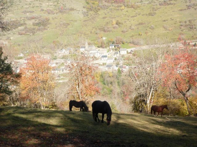 31G100982-0b00c89111c84a0eb5c453dcdd6f4fc4