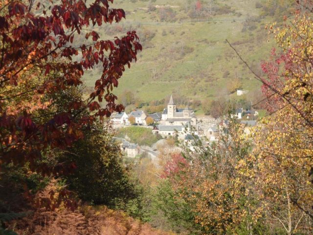 31G100982-0f26b12b84574f74a06bc605e4607642