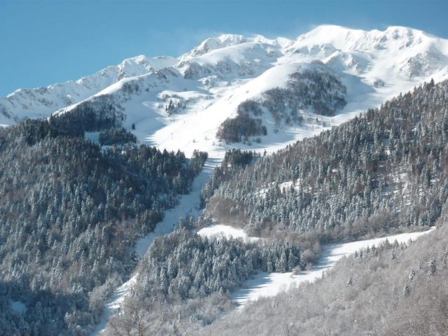 31G100982-2bf56ebd4c494f3bb6a0790ddd1e2479