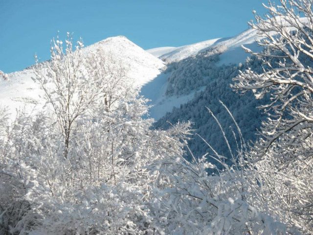 31G100982-3ea6c6b328d54a96b8bab7dd13814311