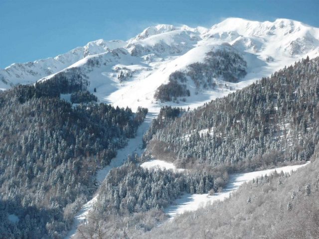 31G100982-ba1e452fc62c44d6b43143176fcd0265