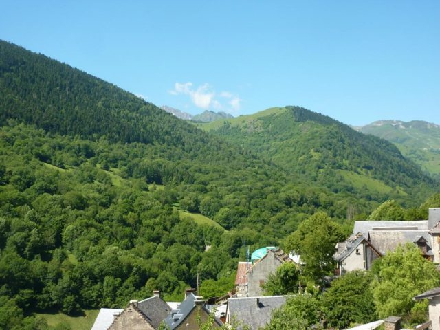 31G100982-bf2394177d8f4fd1a7ca6aec5e448c8d