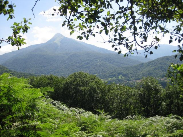 31G101003-b6d3fc128cec44eaa3cd62cac29da262