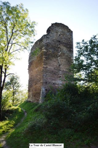 31G101043-14d4538f0bf5430da7ab3b73c005d317