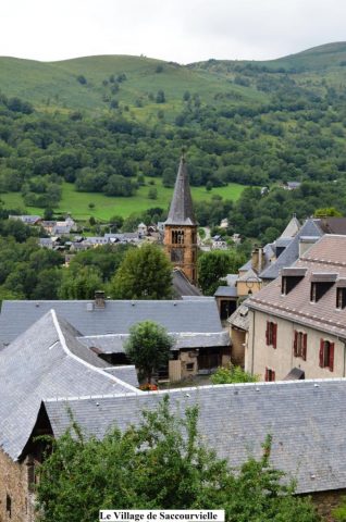 31G101043-40a4284f9cc5443b8689f694753f3517