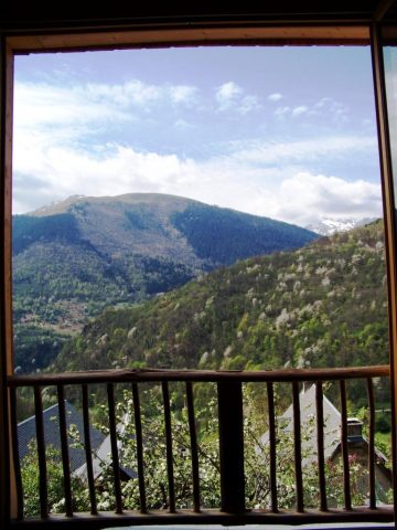 31G101043-a083ad82aca746b9a889cdd9a61a45b6