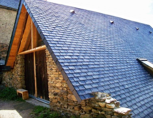 31G101043-b0c76bf8e1c443adae0cad50a3b0951e