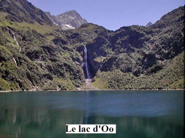 31G101043-d387a3433a1b47c08205e8332d3bad33