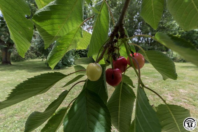 31G101045-4527699279374ba8a9894b85a40c242b